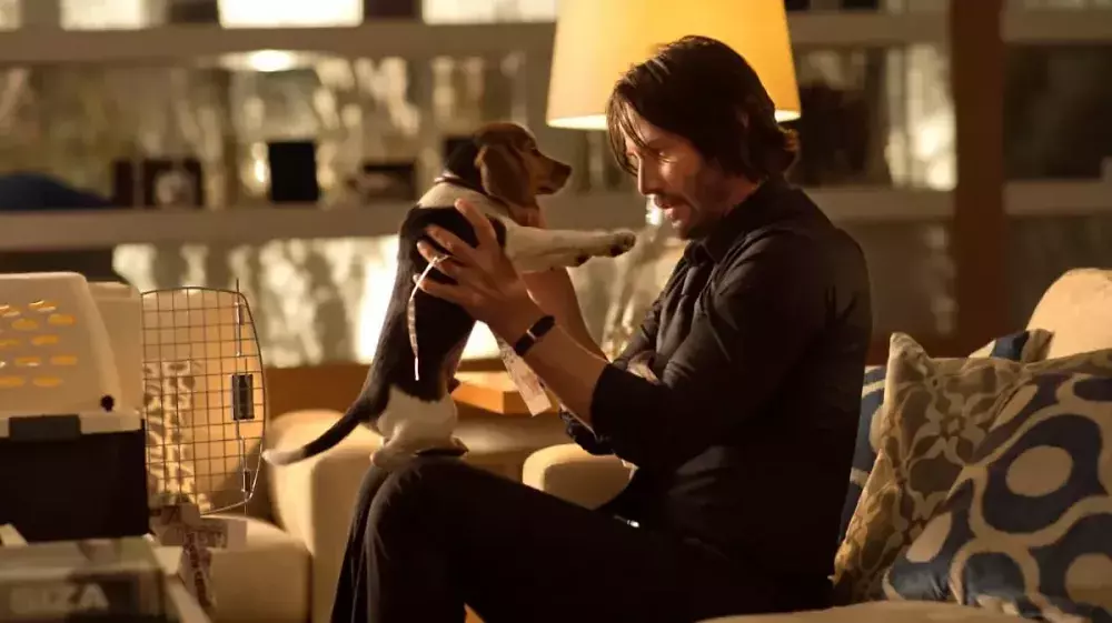 John Wick: Oje, der arme Hundewelpe - Keanu Reeves feiert triumphales Comeback