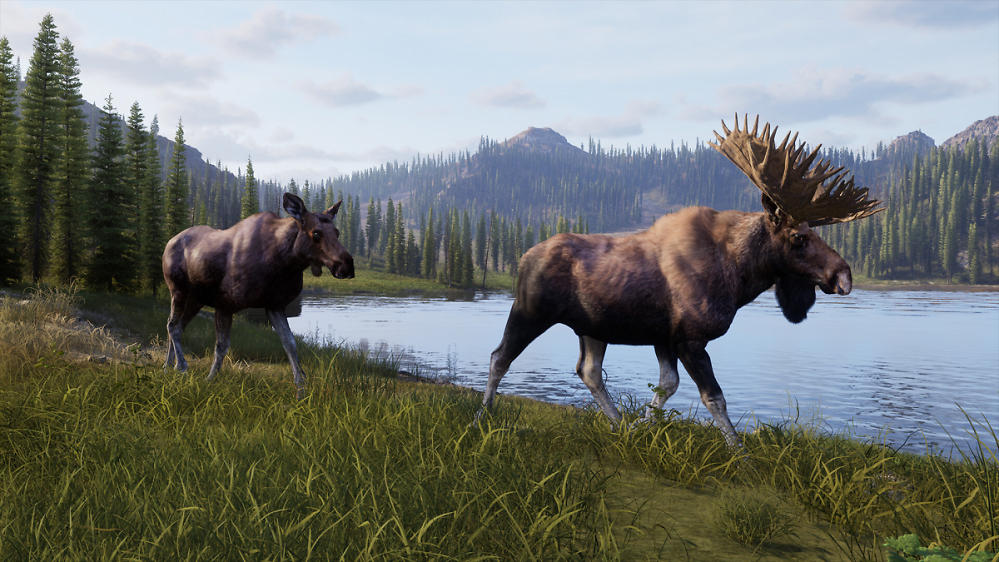Way of the Hunter: Beliebte Simulation präsentiert ersehnte Fortsetzung beim Steam Next Fest