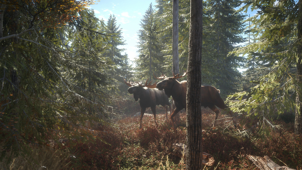 theHunter: Call of the Wild im Steam-Deal für lächerliche 1,95 €