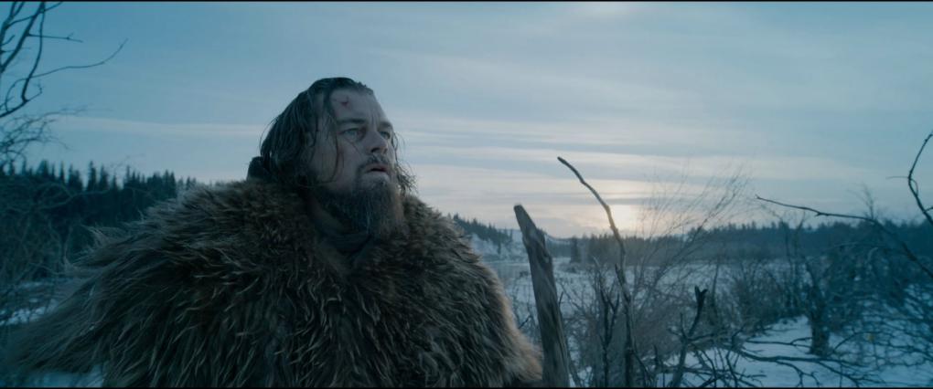 <strong>'The Revenant – Der Rückkehrer'</strong> - Auf Blacklist:&nbsp;2007 / Verfilmung:&nbsp;2015 / Einspielergebnis weltweit: ca. $&nbsp;530 Mio.