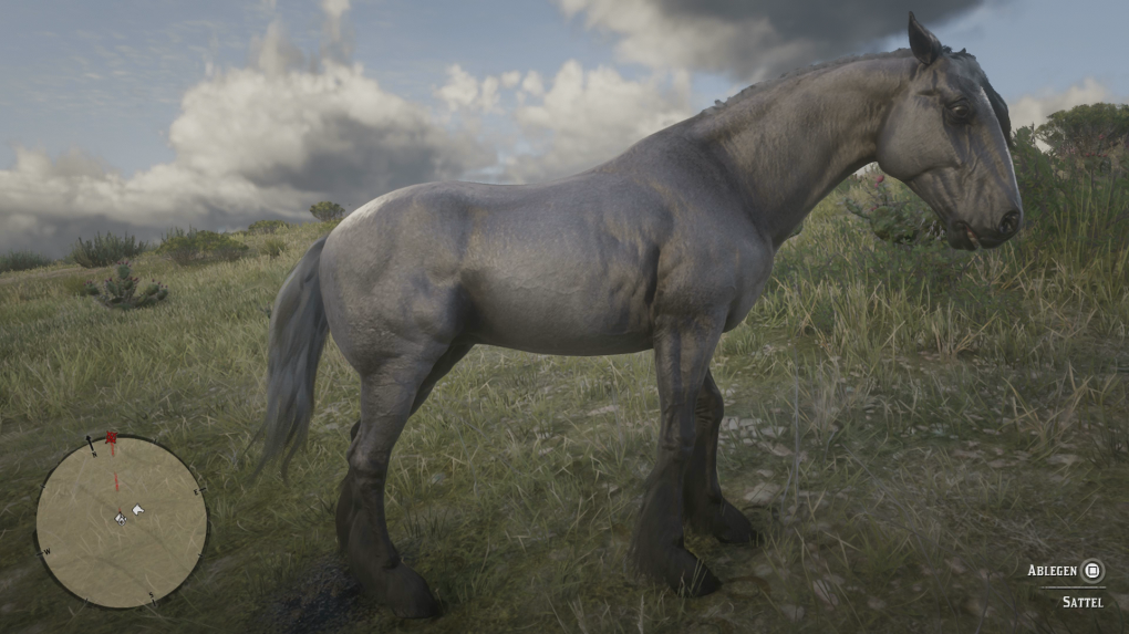 Mustang<br>
Mausfalbe