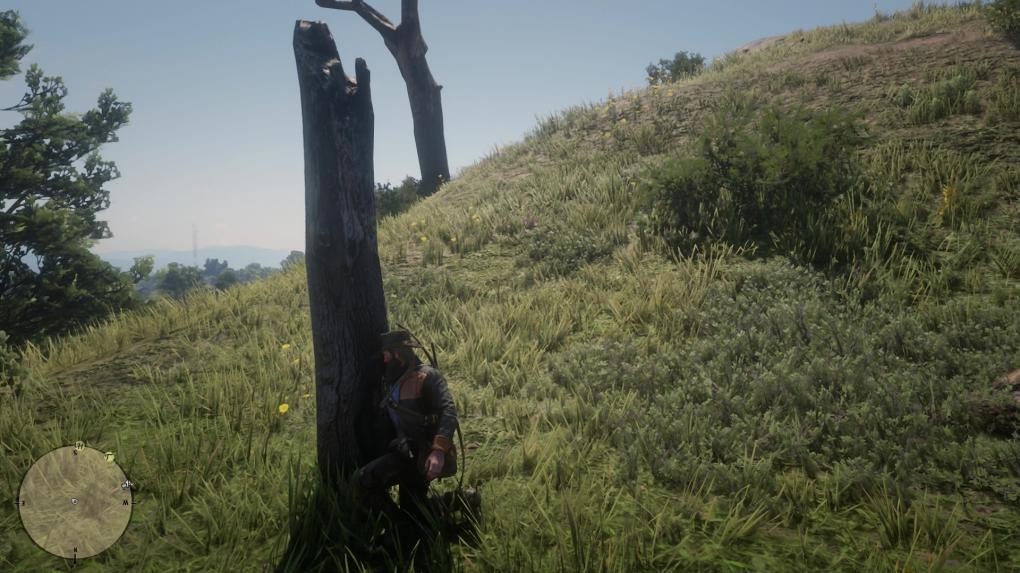 Arthur Morgan findet den ersten Teil des Giftpfadschatzes in Red Dead Redemption 2.
