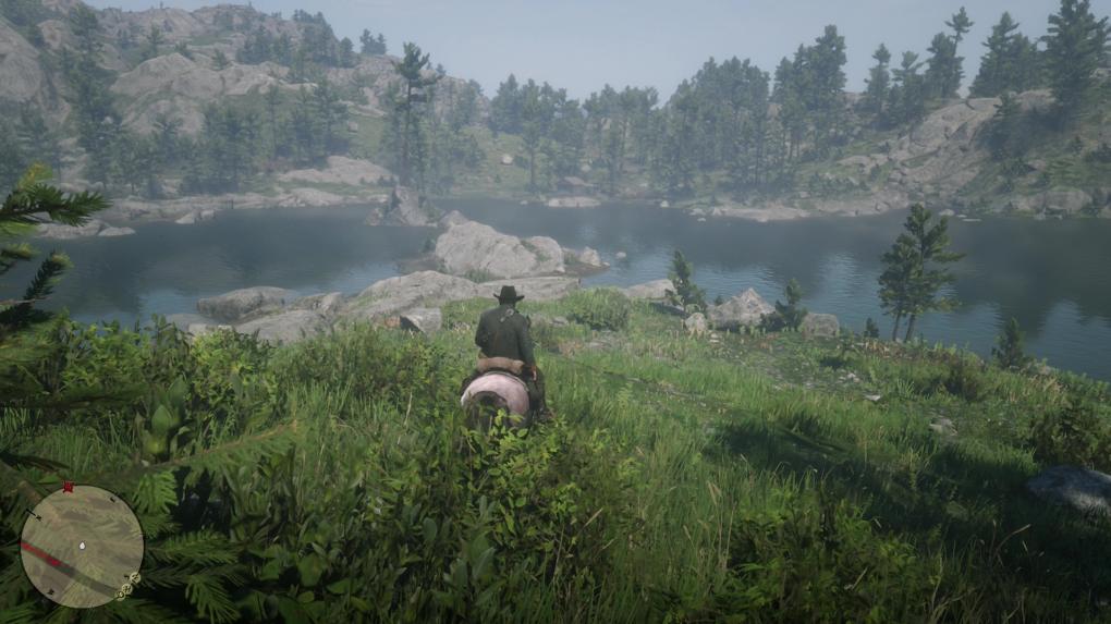 Auf der Insel weiter vorn mit dem Baum findet ihr den Schatz der Jack Hall Bande. Reitet an die östliche Landzunge auf der Map und schwimmt dann rüber.