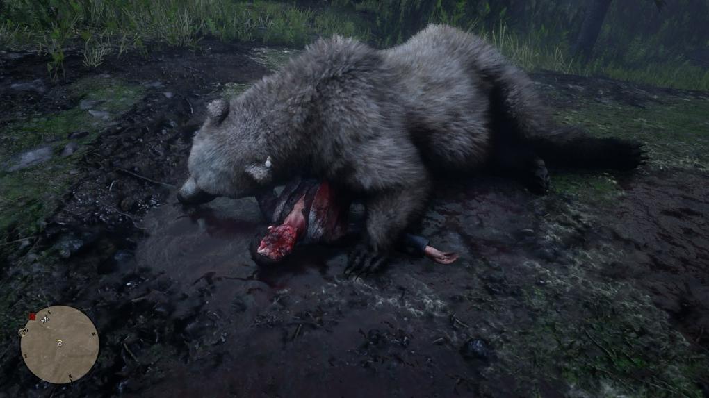 Ein Mann wurde von einem riesigen Grizzly-Bären erdrückt.