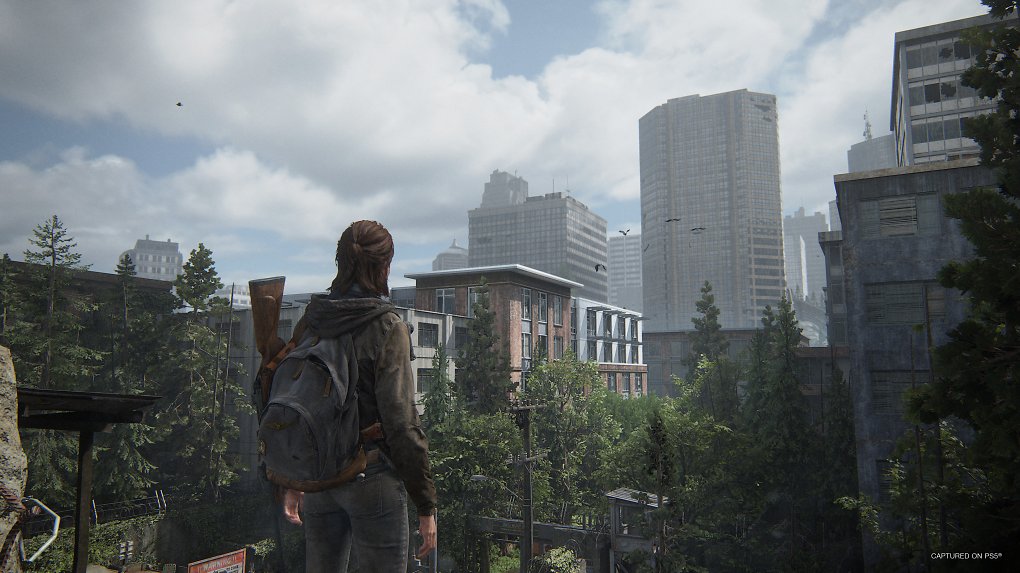 Ellie blickt auf die Skyline von Seattle vor ihr.