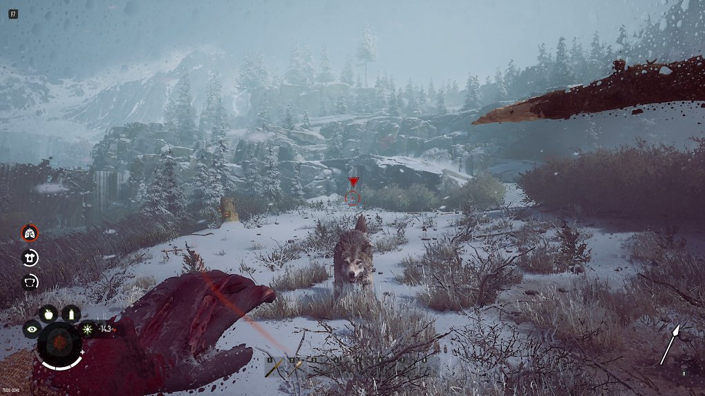 Ein Wolf steht vor dem Spieler