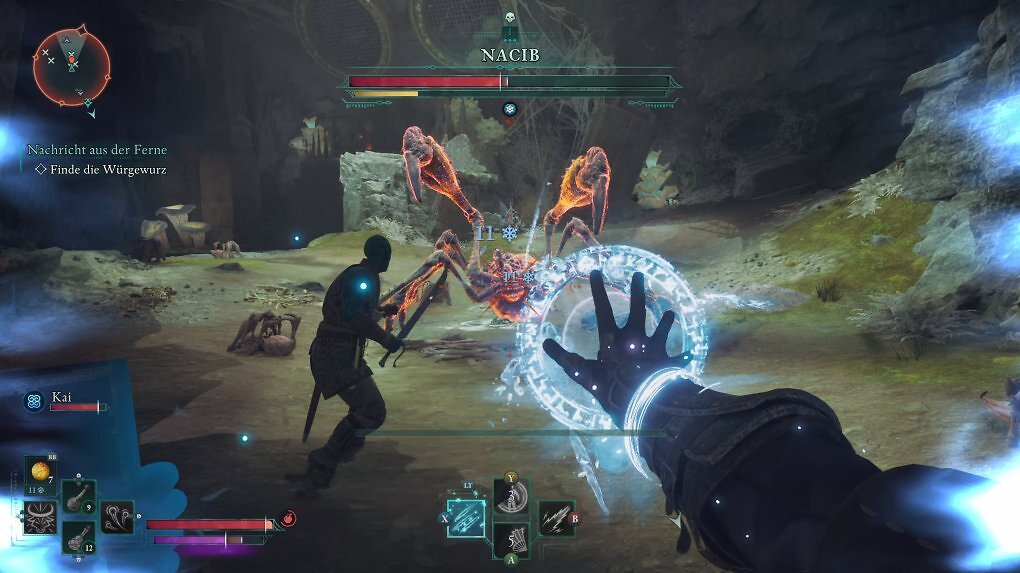 Der Spieler und ein Begleiter im Bosskampf gegen eine Spinne.