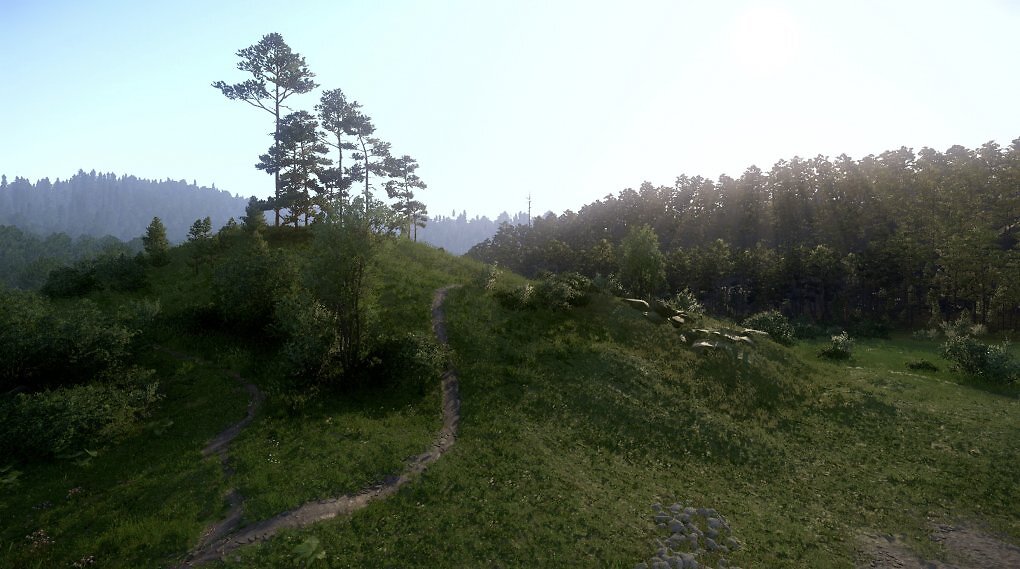 Ein Hügel mit grünem Gras und einem Baum auf der Spitze - PS5 &amp; Xbox-Series-Update.