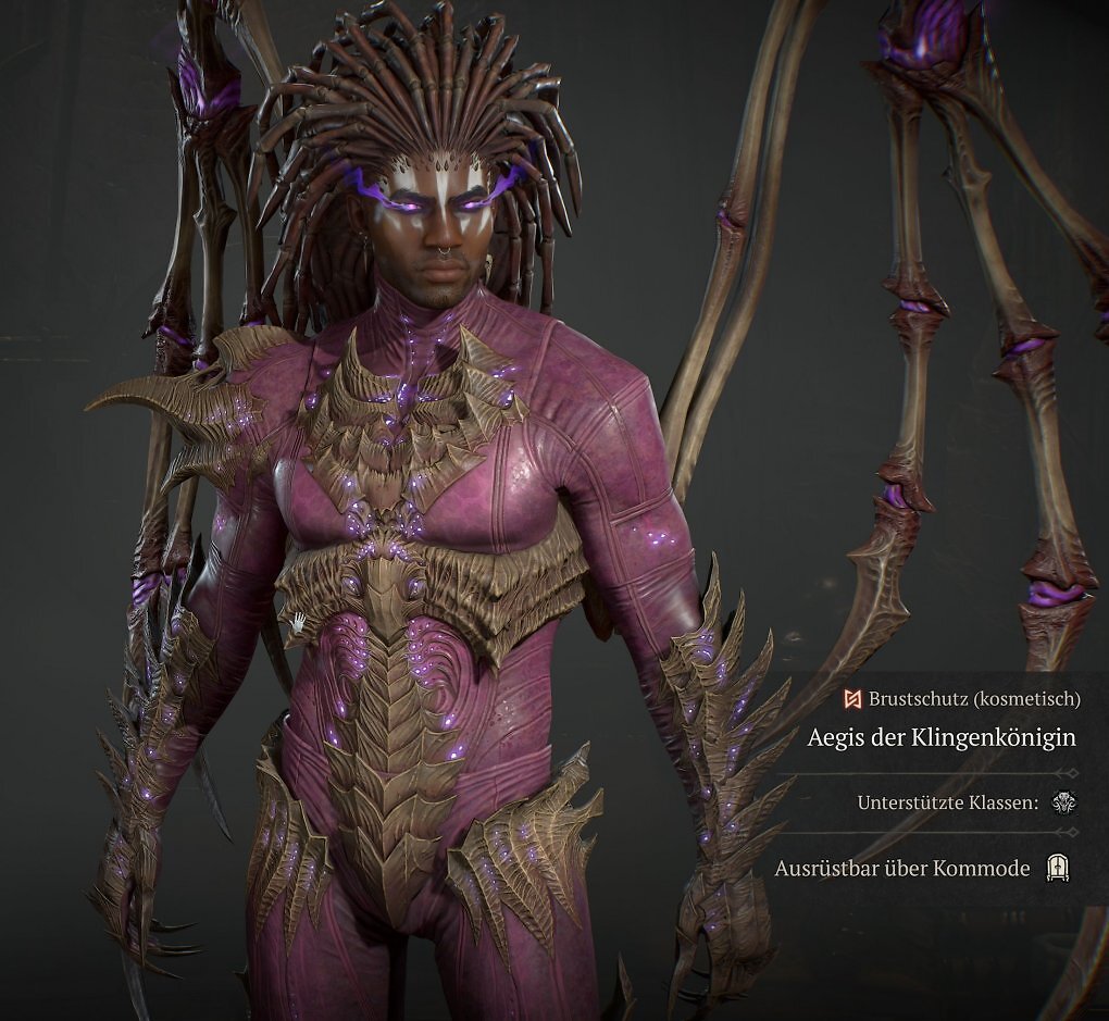 Diablo 4: Starcraft-Kollaboration kehrt zurück - aber ihr müsst schnell sein (9)