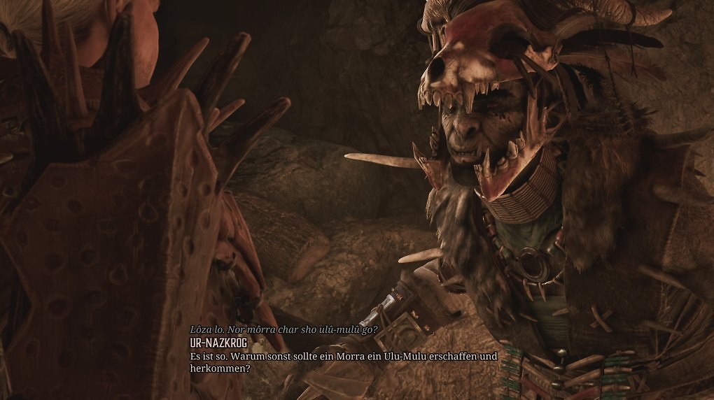 Eine Ork-Schamanin im Gespräch
