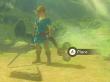 Link im Krog-Wald vor dem Master-Schwert-Felsen.