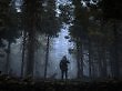 Stalker 2
