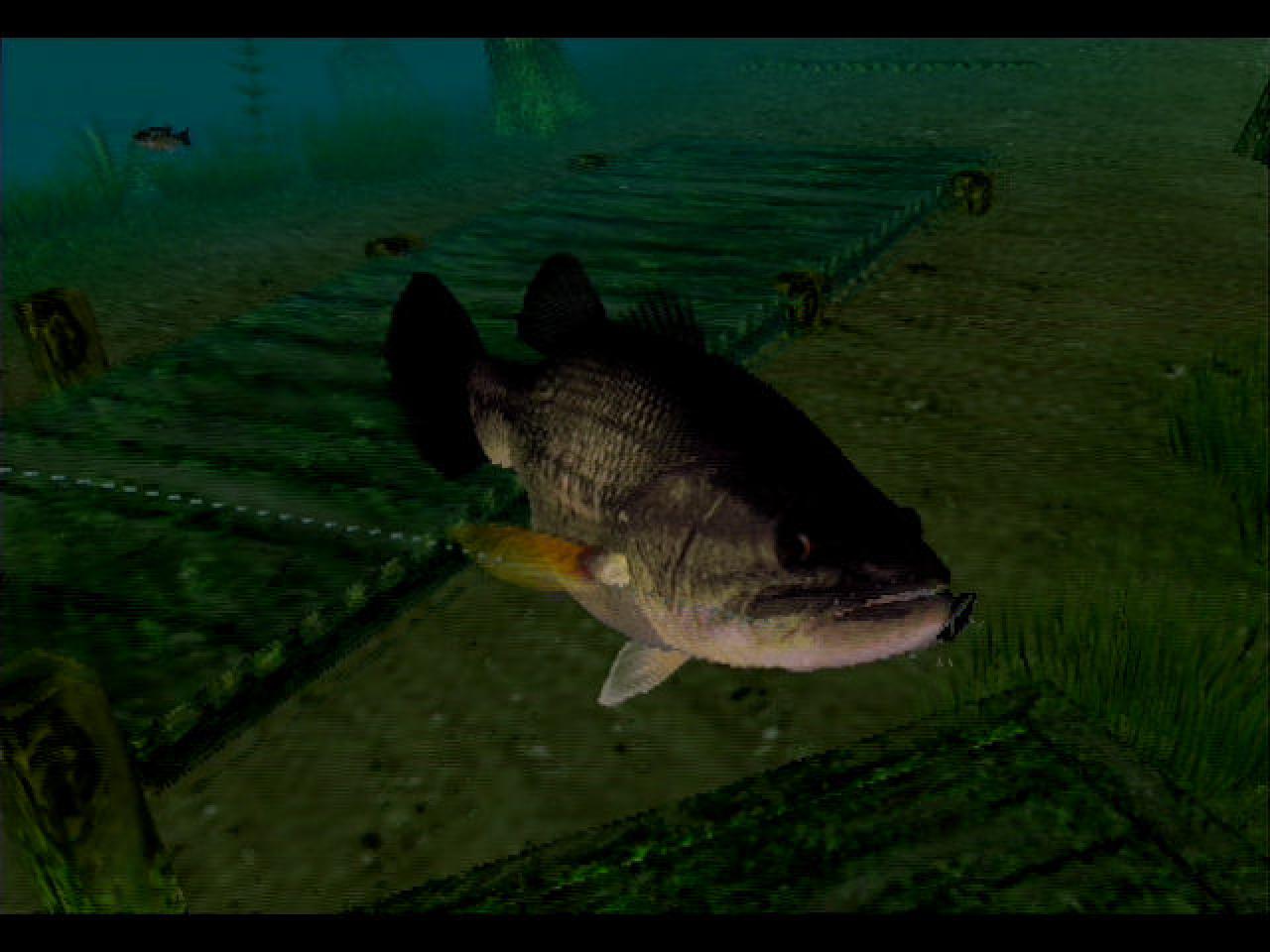 [14/05/2002] 