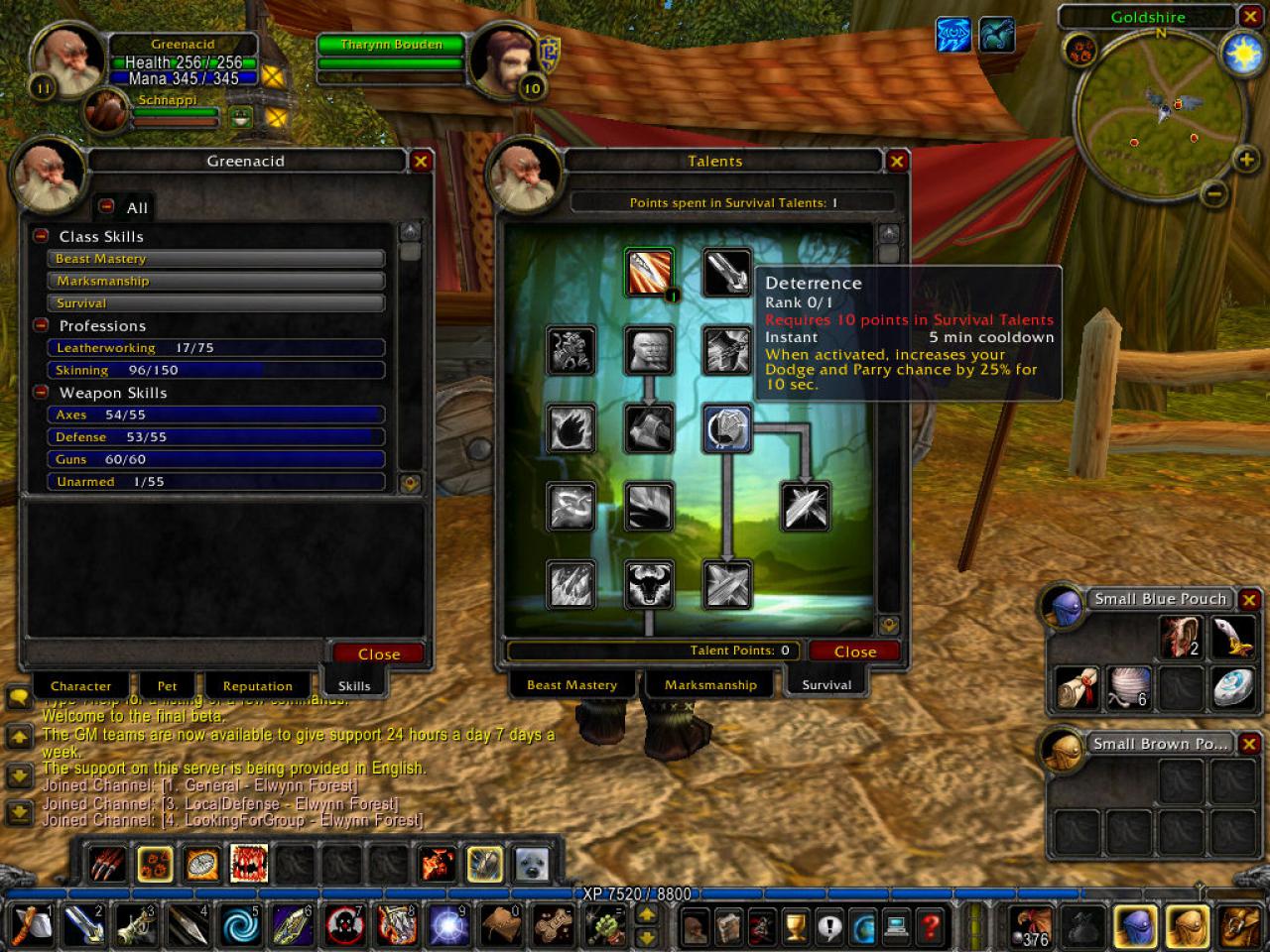 [17/01/2005] World of Warcraft