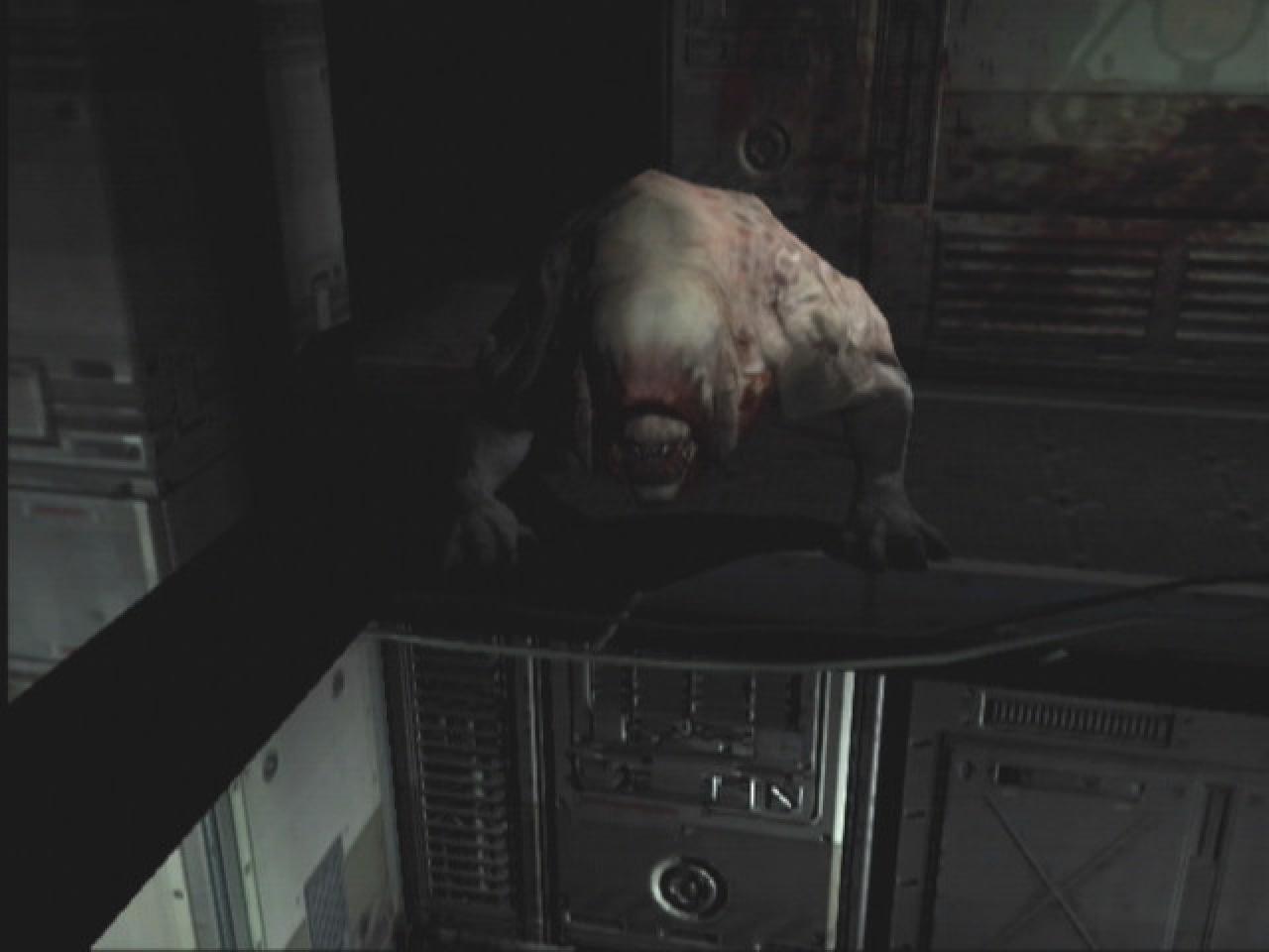 [06/04/2005] Braver Hund