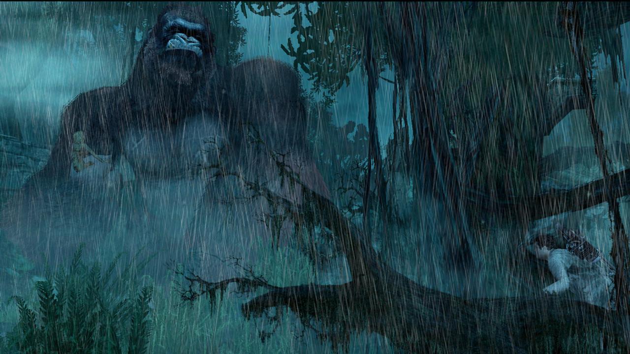 [25/11/2005] Kong im Regen