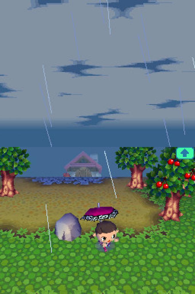 [05/05/2006] Animal Crossing: Wild World