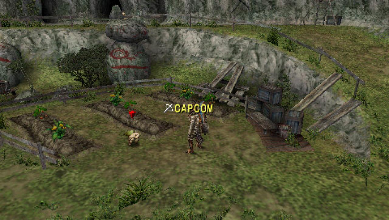 [29/05/2006] Monster Hunter: Freedom