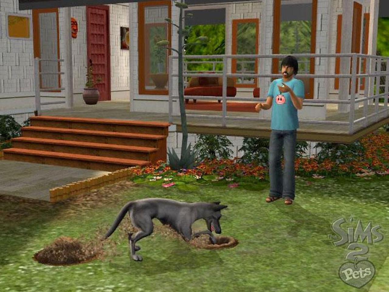 [13/11/2006] Die Sims 2: Haustiere