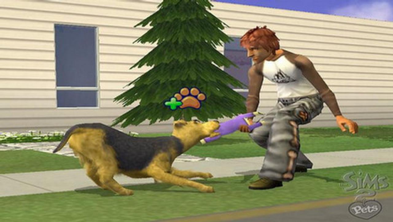[22/12/2006] Die Sims 2: Haustiere