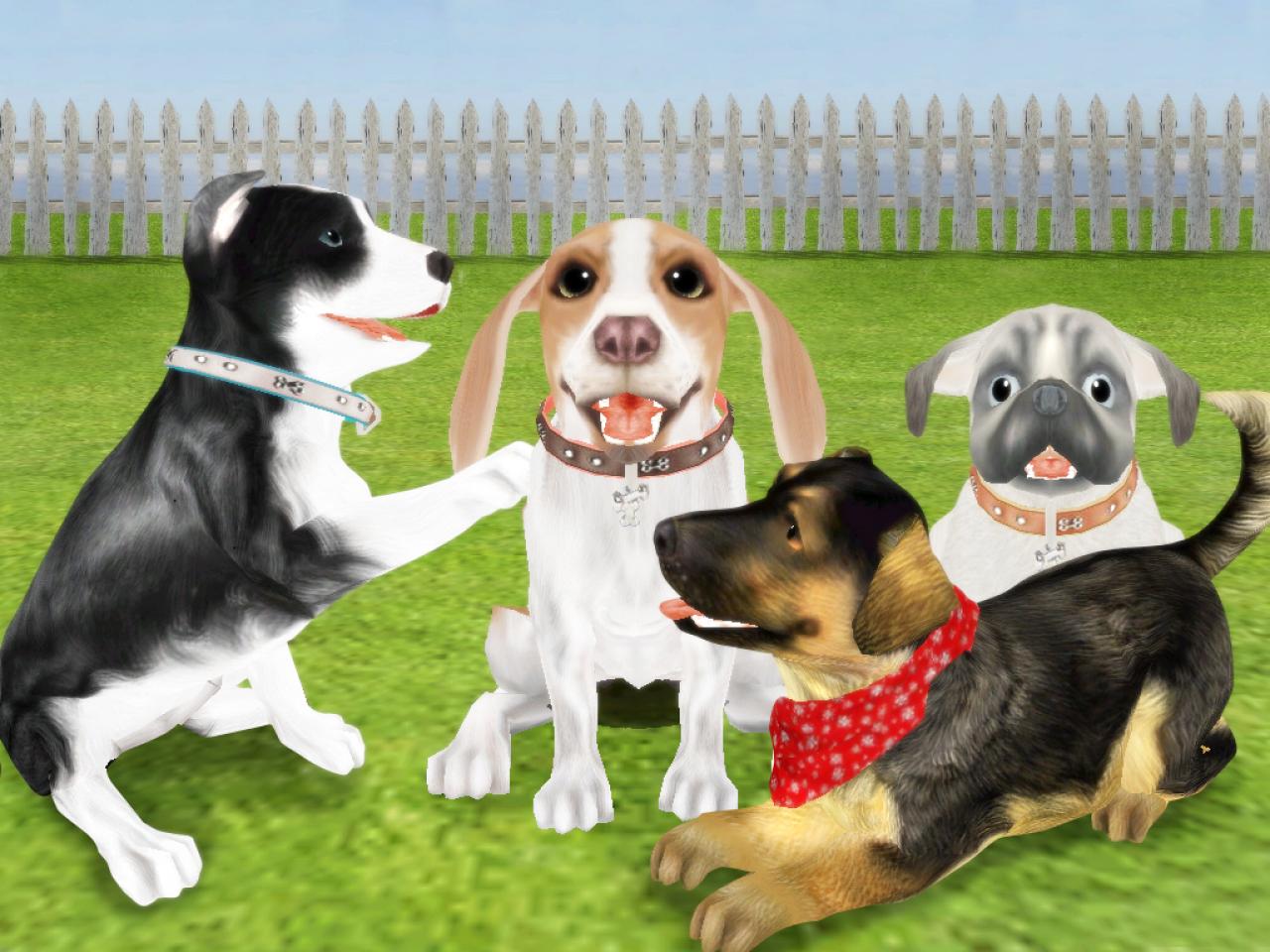 [10/04/2007] Dogz
