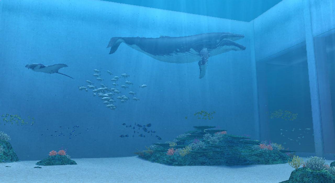 [19/11/2007] Endless Ocean