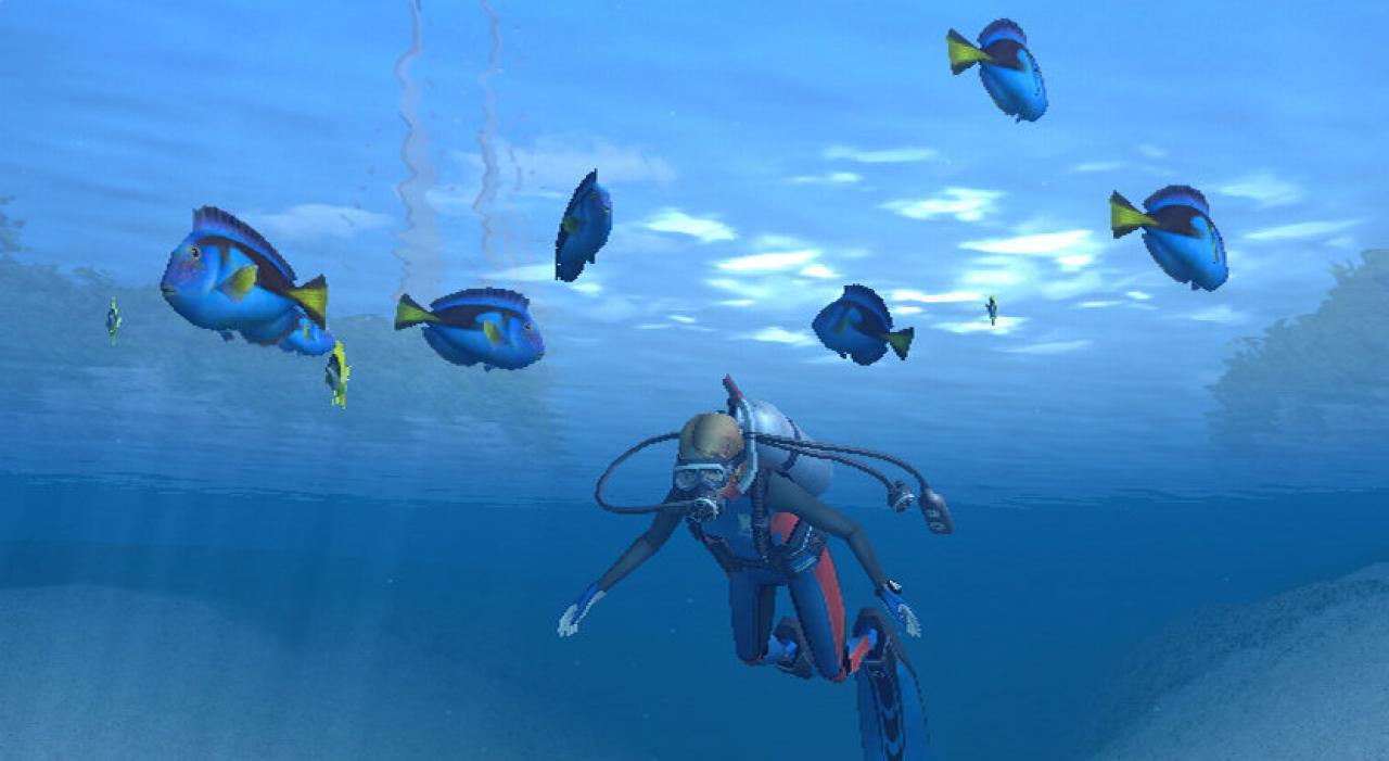 [19/11/2007] Endless Ocean