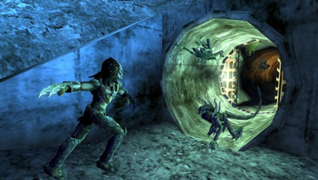 [05/12/2007] Aliens vs. Predator: Requiem