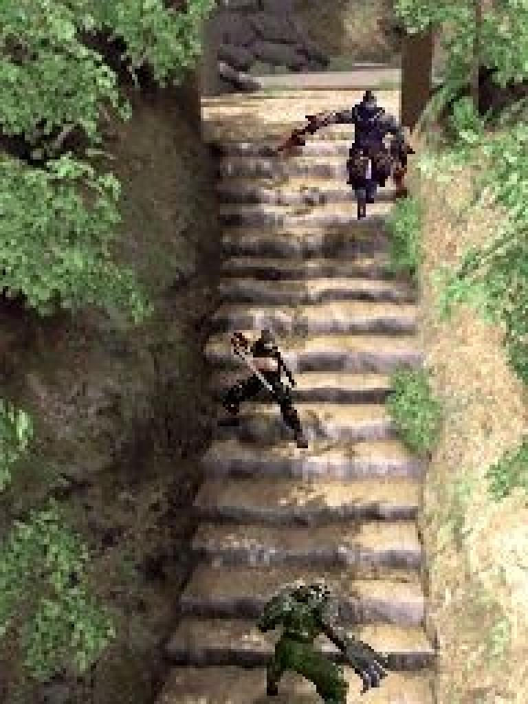 [30/06/2008] Ninja Gaiden Dragon Sword