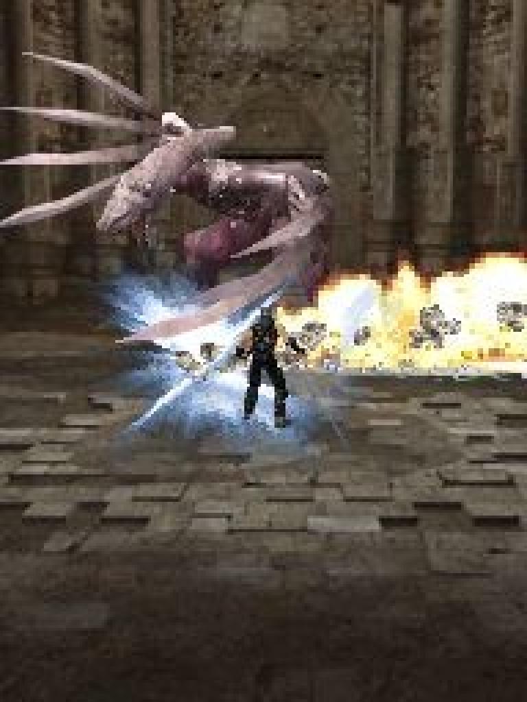 [30/06/2008] Ninja Gaiden Dragon Sword