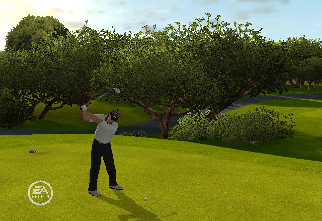 [24/09/2008] Tiger Woods PGA Tour 09