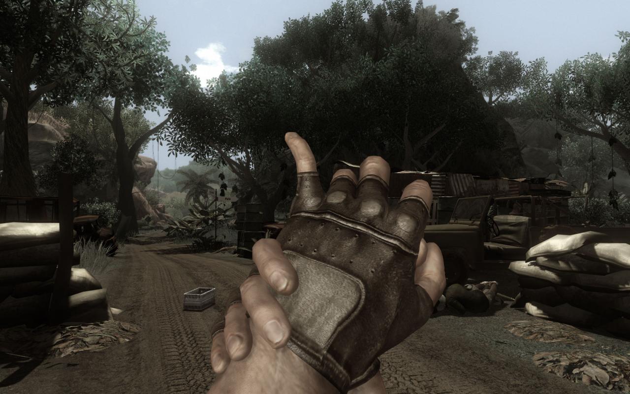 [03/11/2008] Far Cry 2