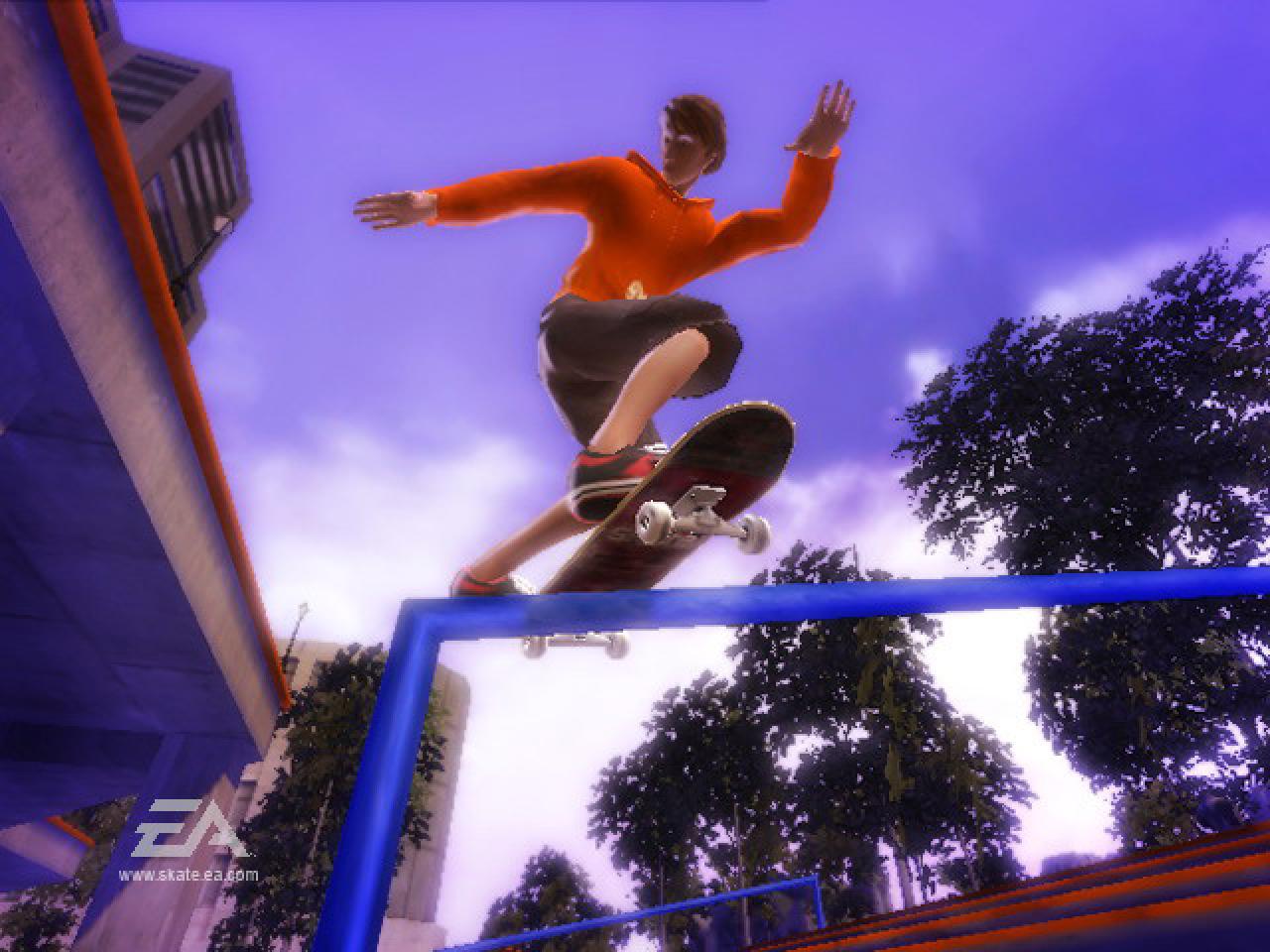 [26/11/2008] Skate It