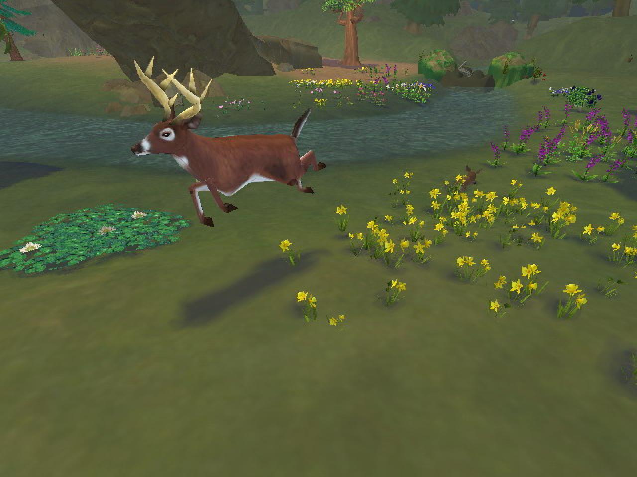 [03/02/2009] SimAnimals