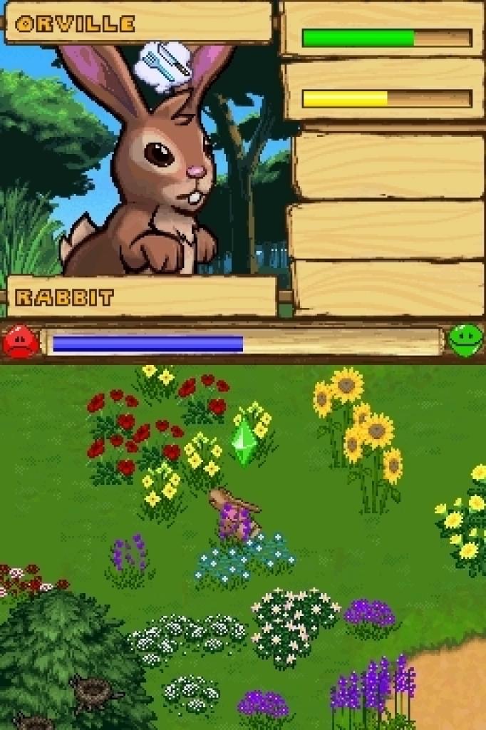 [05/02/2009] SimAnimals