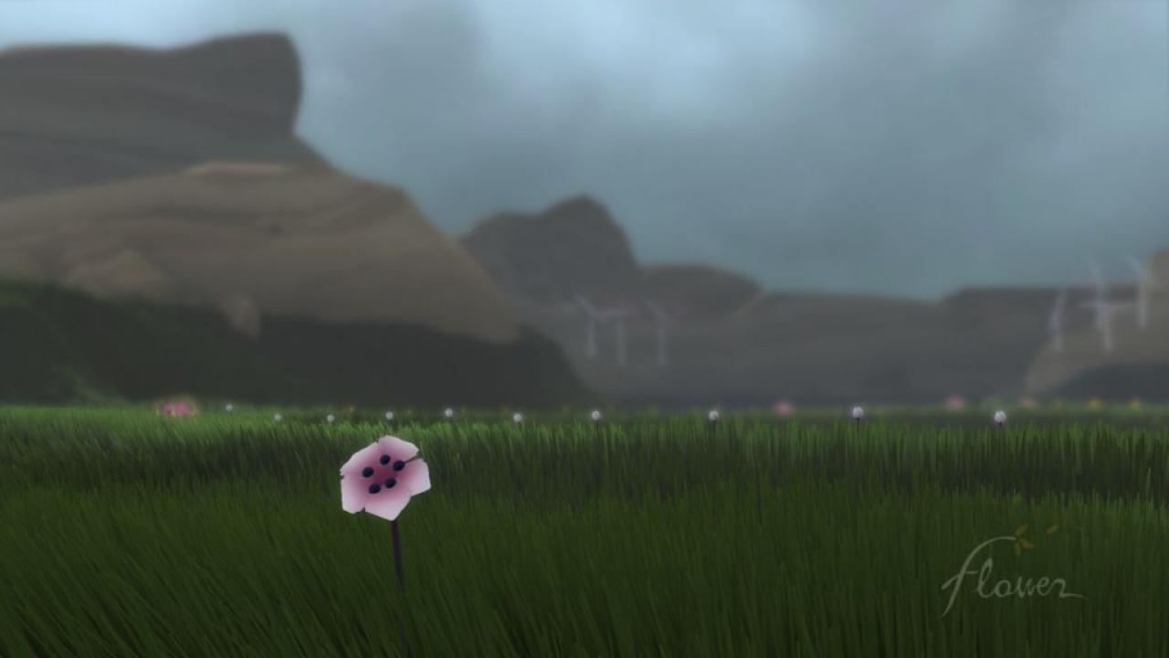[23/02/2009] Flower