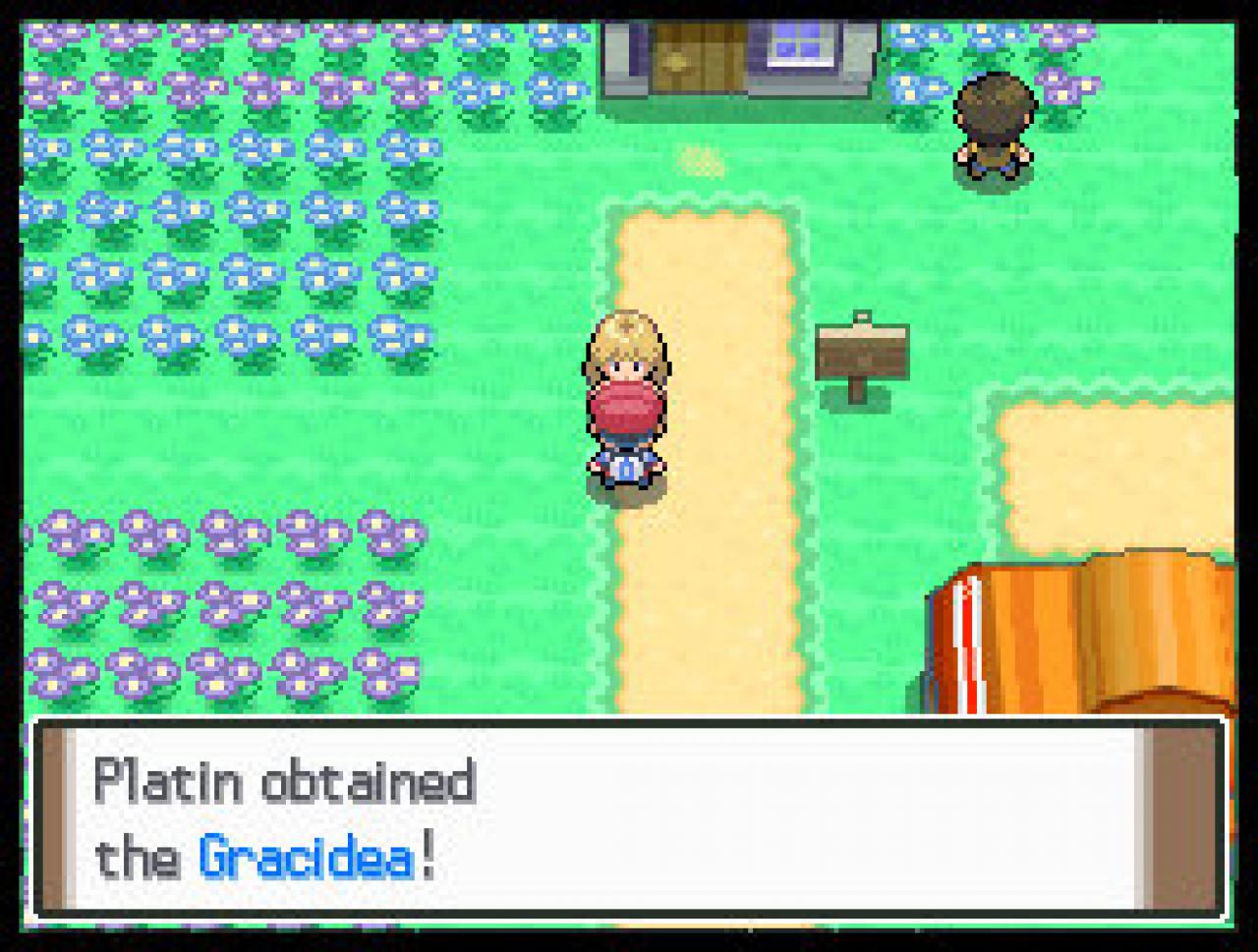 [29/06/2009] Pokémon: Platin-Edition