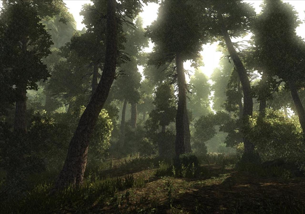 [29/07/2009] Risen