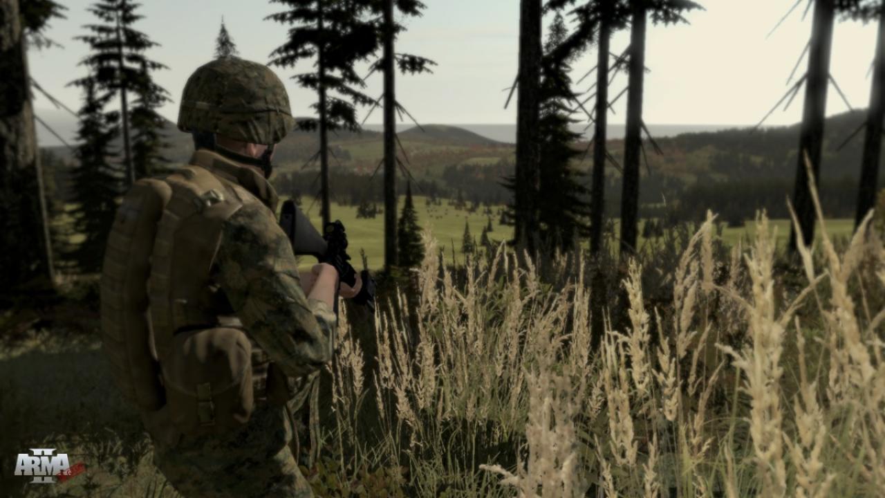 [06/07/2009] Armed Assault 2