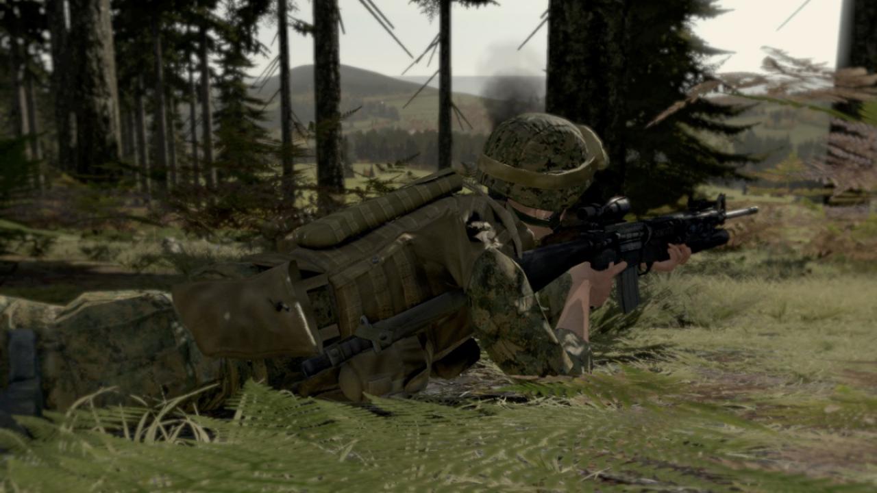 [06/07/2009] Armed Assault 2