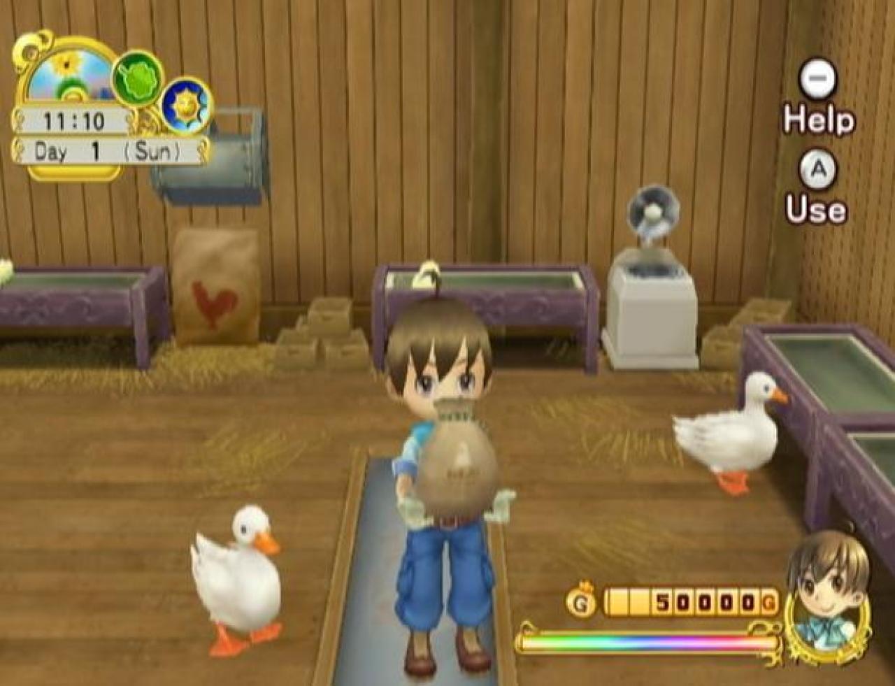 [04/11/2009] Harvest Moon: Baum der Stille