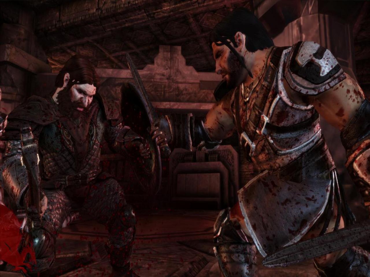 [23/11/2009] Dragon Age: Origins