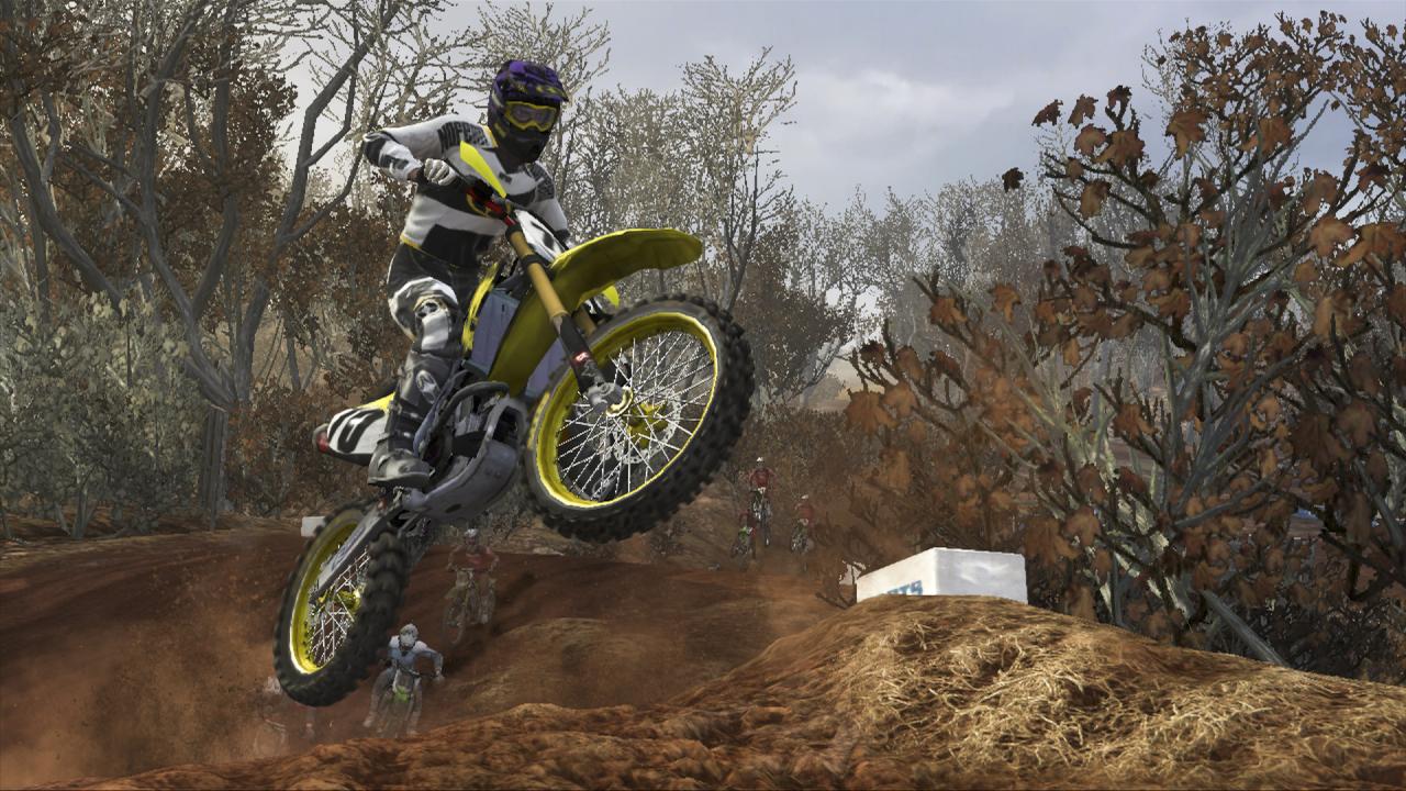 [09/02/2010] MX vs. ATV Reflex