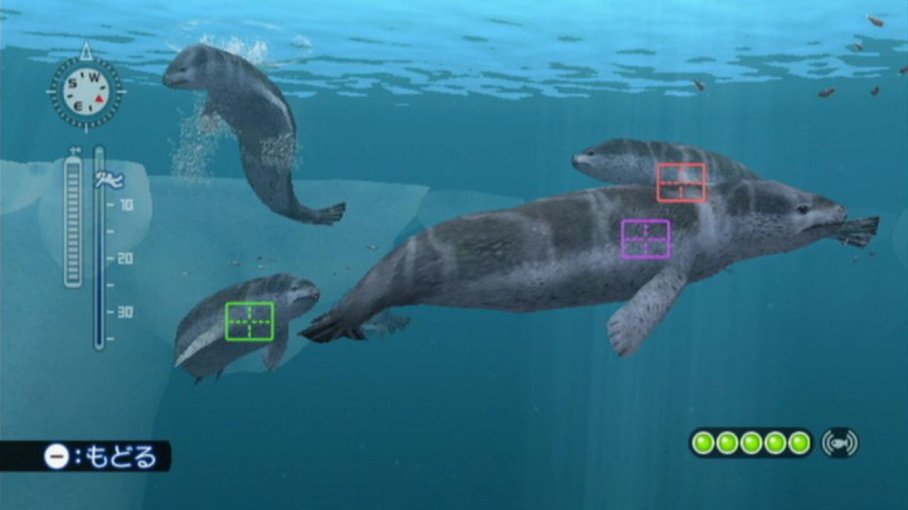 [16/03/2010] Endless Ocean 2: Der Ruf des Meeres