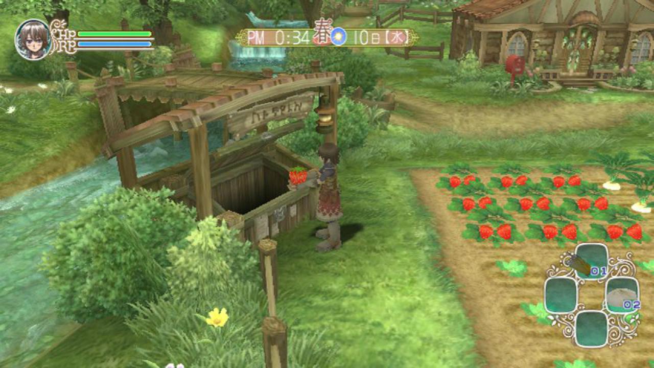 [17/05/2010] Rune Factory: Frontier