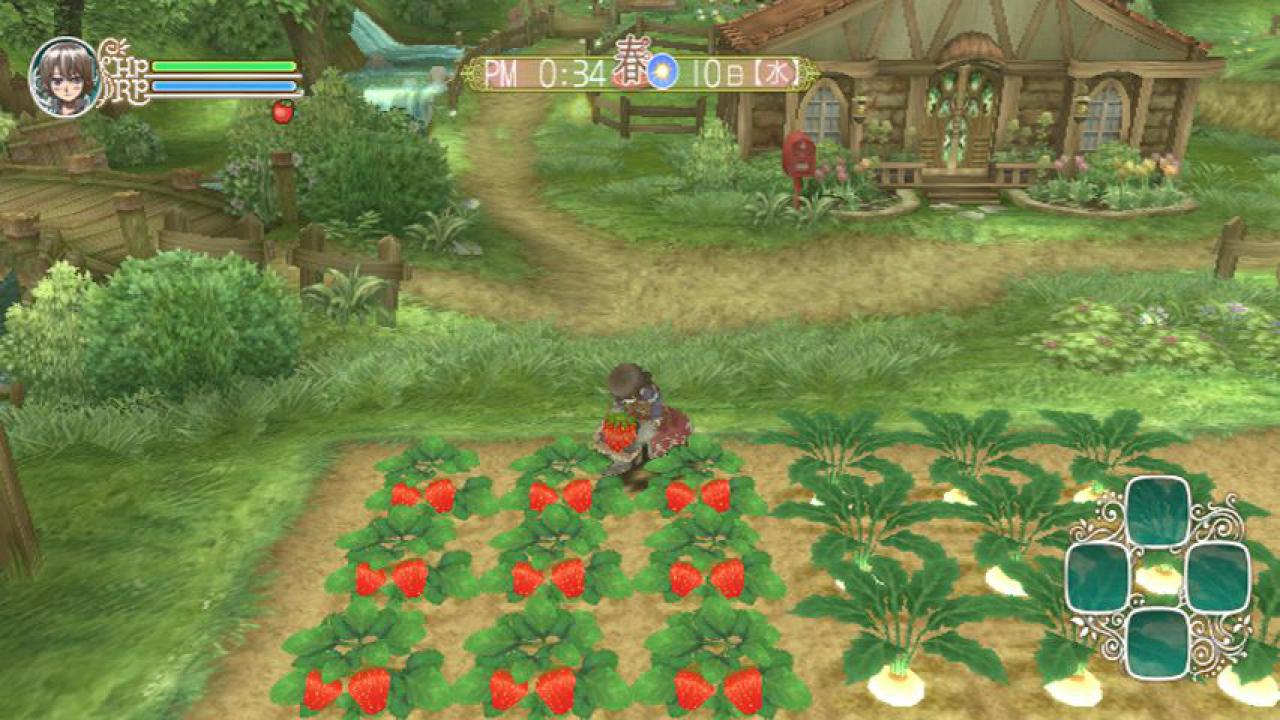 [17/05/2010] Rune Factory: Frontier