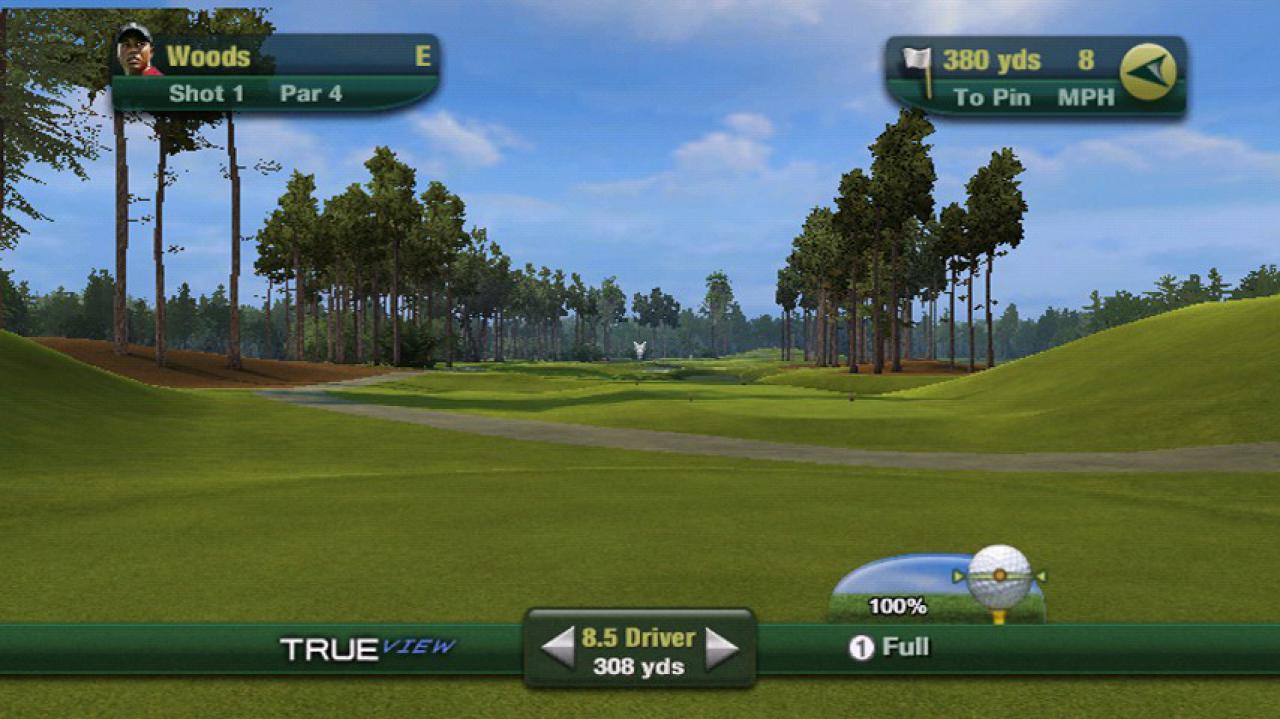 [06/07/2010] Tiger Woods PGA Tour 11