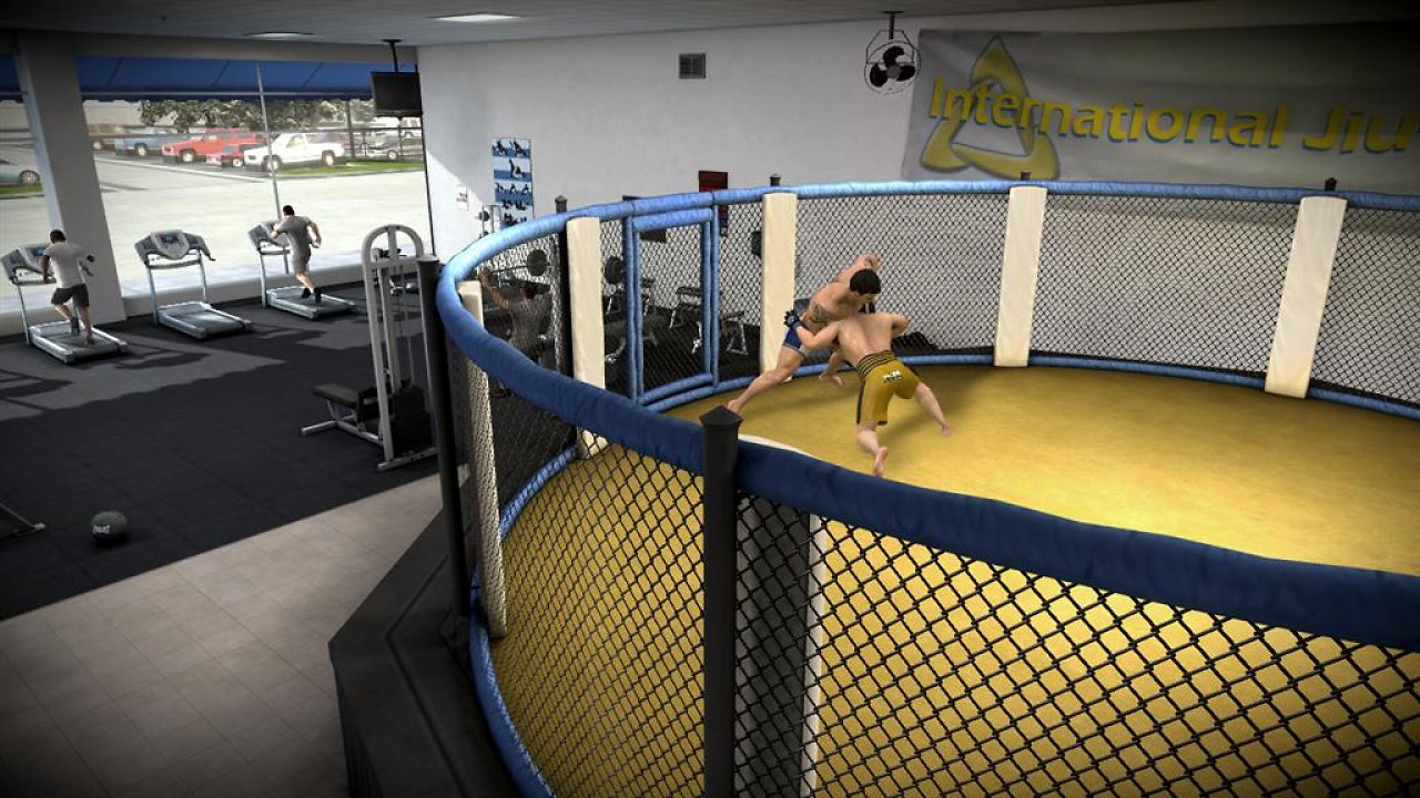 [25/10/2010] MMA: Mixed Martial Arts
