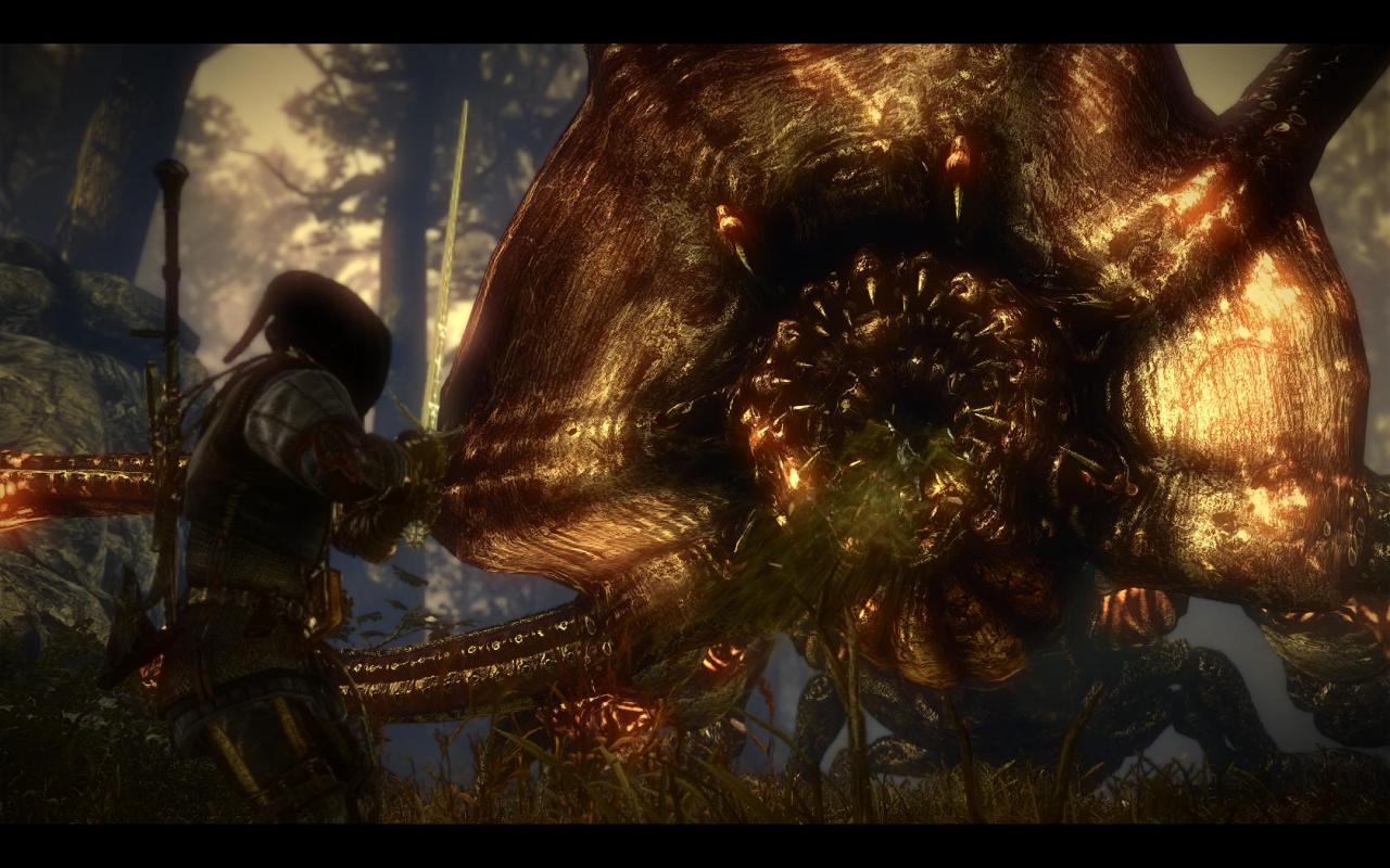 [25/05/2011] The Witcher 2: Assassins of Kings