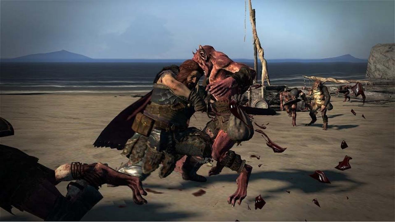 [15/12/2011] Dragon's Dogma: Dark Arisen (5)